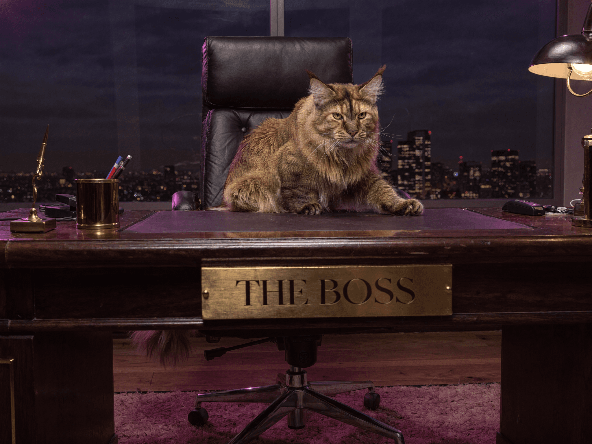 Lucy, der Boss